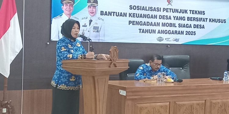 SILPA Rp 3,7 Triliun Jadi Sorotan, Wabup Nurul Azizah Tegaskan Dana Tak Mengendap Sia-Sia