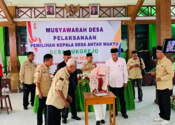 Menang di PAW Sukorejo, Meyke Lelyanasari Tegas Bantah Isu Money Politik