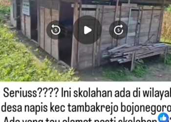 Viral Bangunan Reyot Disebut Sekolah di Napis, Kades Tegaskan Itu Madrasah Swadaya di Tanah Pribadi