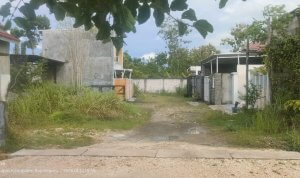 IMG-20260113-WA0000