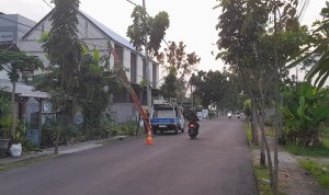 IMG-20260326-WA0000