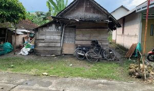 IMG-20260414-WA0006