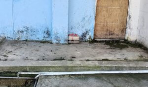Foto istimewa