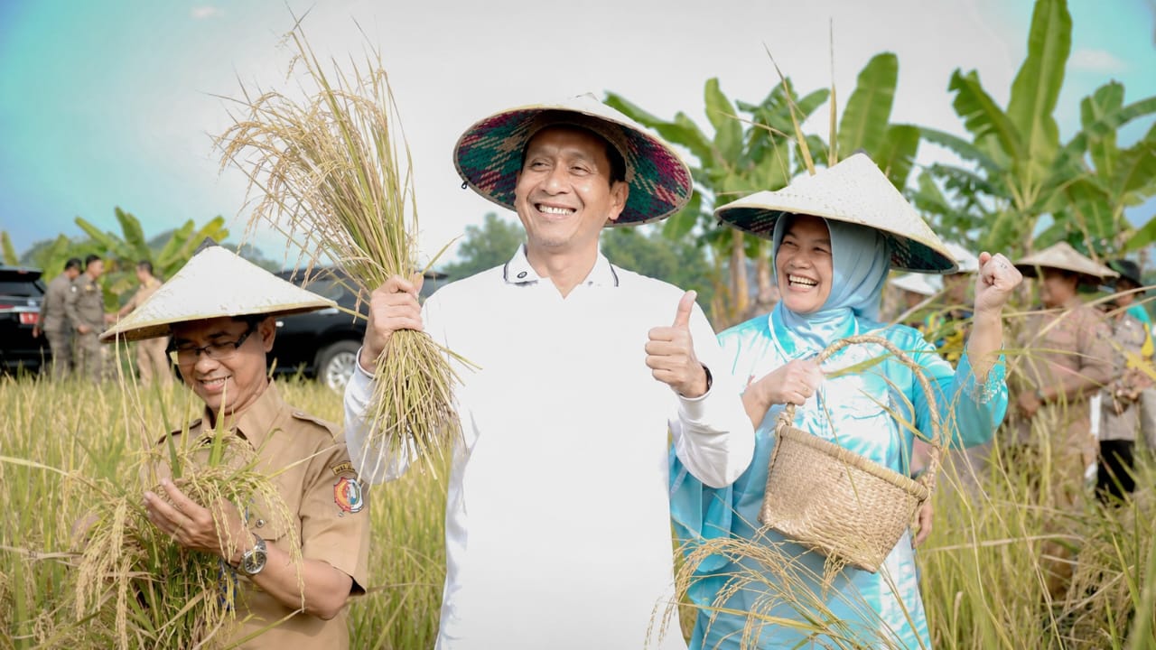 Dok istimewa