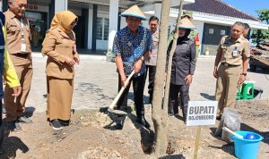 Bupati Bojonegoro Setyo Wahono didampingi Wakil Bupati Nurul Azizah melakukan penanaman pohon di halaman Puskesmas Tanjungharjo, Kecamatan Kapas, usai peresmian operasionalisasi puskesmas.