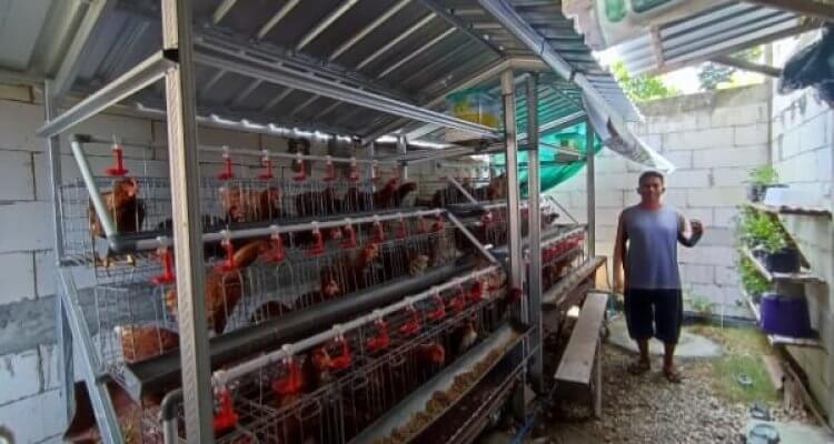 Penerima manfaat Program Gayatri menunjukkan kandang ayam petelur di Bojonegoro.