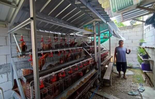 Program Gayatri Dorong Kemandirian Peternak Ayam Petelur di Bojonegoro Penerima manfaat Program Gayatri menunjukkan kandang ayam petelur di Bojonegoro.