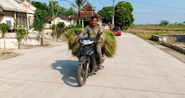 Petani melintasi jalan cor beton hasil pembangunan Program BKKD di Desa Banjarejo Kecamatan Sumberrejo Bojonegoro.