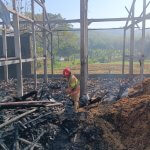 Petugas Damkarmat Kabupaten Bojonegoro memadamkan kebakaran kandang ayam di Desa Tanggir, Kecamatan Malo, yang diduga dipicu korsleting listrik.