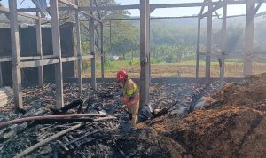 Foto istimewa Petugas Damkarmat Kabupaten Bojonegoro memadamkan kebakaran kandang ayam di Desa Tanggir, Kecamatan Malo, yang diduga dipicu korsleting listrik.
