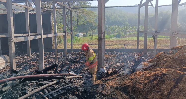 Petugas Damkarmat Kabupaten Bojonegoro memadamkan kebakaran kandang ayam di Desa Tanggir, Kecamatan Malo, yang diduga dipicu korsleting listrik.