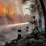 Petugas Damkarmat Bojonegoro memadamkan kebakaran lahan tebu akibat pembakaran sampah di Tambakrejo.