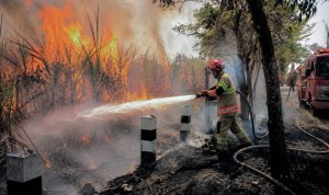 Dok Istimewa Petugas Damkarmat Bojonegoro memadamkan kebakaran lahan tebu akibat pembakaran sampah di Tambakrejo.