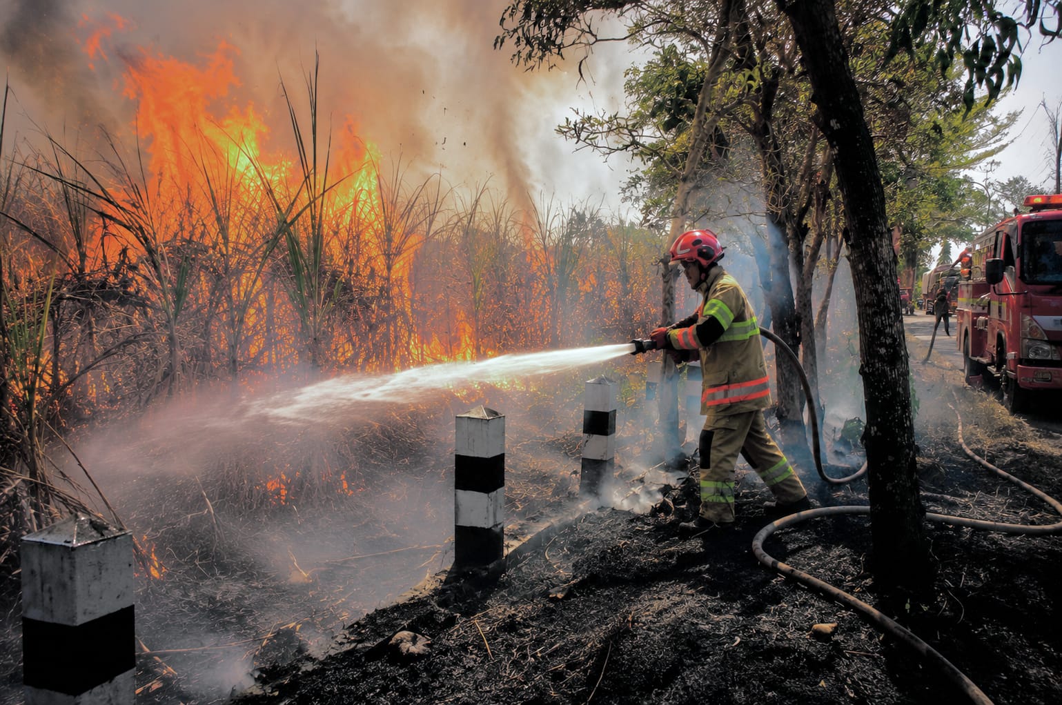 Petugas Damkarmat Bojonegoro memadamkan kebakaran lahan tebu akibat pembakaran sampah di Tambakrejo.