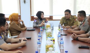 Dok istimewa