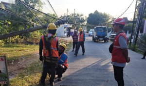 Tim PLN UP3 Bojonegoro melakukan penanganan pohon randu tumbang yang menimpa jaringan listrik di Dukuh Tempuran, Desa Sumodikaran, Kecamatan Dander. Tim PLN UP3 Bojonegoro melakukan penanganan pohon randu tumbang yang menimpa jaringan listrik di Dukuh Tempuran, Desa Sumodikaran, Kecamatan Dander.