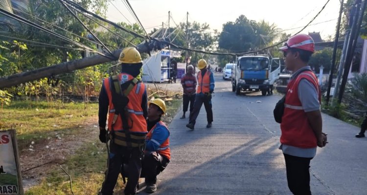Tim PLN UP3 Bojonegoro melakukan penanganan pohon randu tumbang yang menimpa jaringan listrik di Dukuh Tempuran, Desa Sumodikaran, Kecamatan Dander.