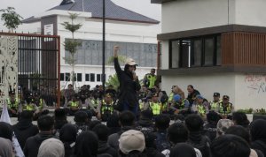 Kelangkaan sapi siap potong di Kabupaten Bojonegoro menjadi sorotan PC PMII Bojonegoro. PMII mendorong pemerintah daerah segera mencari solusi untuk menjaga ketersediaan dan rantai pasok daging sapi.