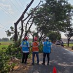 PLN ULP Sumberrejo bersama Tim ES UP3 Bojonegoro saat apel pembukaan kegiatan PACER+ di Balai Desa Pohwates, Kecamatan Kedungadem, Kabupaten Bojonegoro.