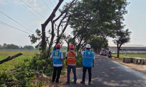 IMG-20260826-WA0132 PLN ULP Sumberrejo bersama Tim ES UP3 Bojonegoro saat apel pembukaan kegiatan PACER+ di Balai Desa Pohwates, Kecamatan Kedungadem, Kabupaten Bojonegoro.