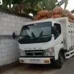 Truk yang diduga merupakan armada operasional KDMP Desa Sumbangtimun terlihat mengangkut hasil panen ketela.