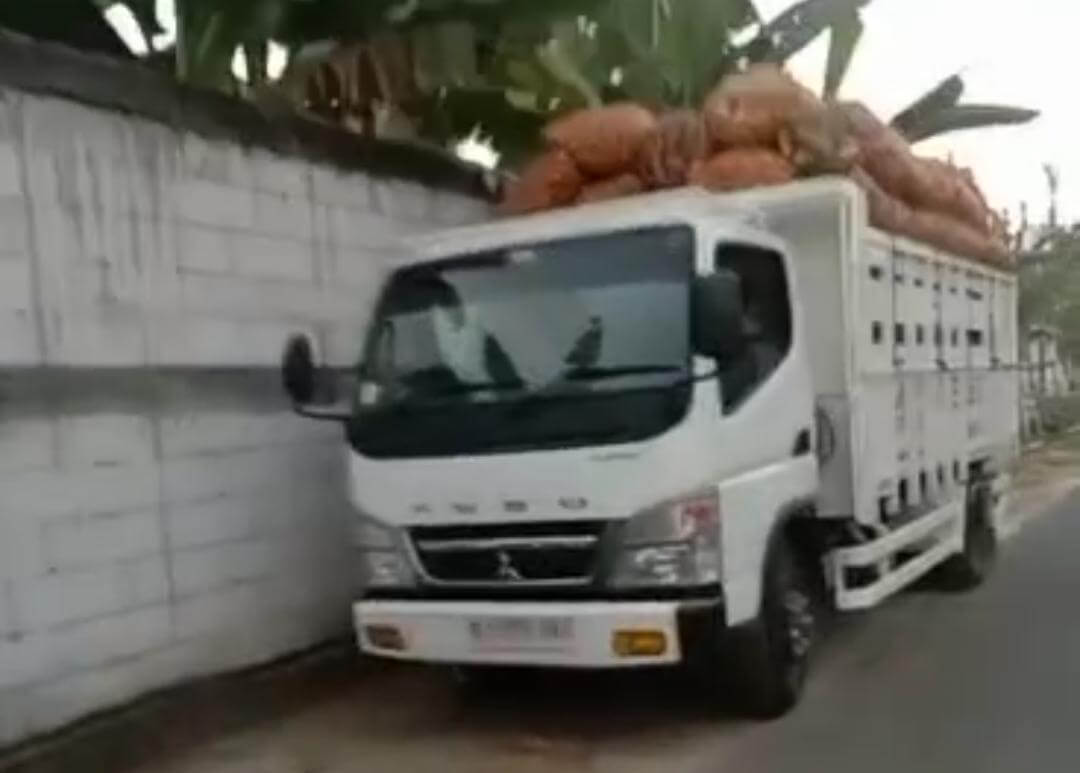 Truk yang diduga merupakan armada operasional KDMP Desa Sumbangtimun terlihat mengangkut hasil panen ketela.