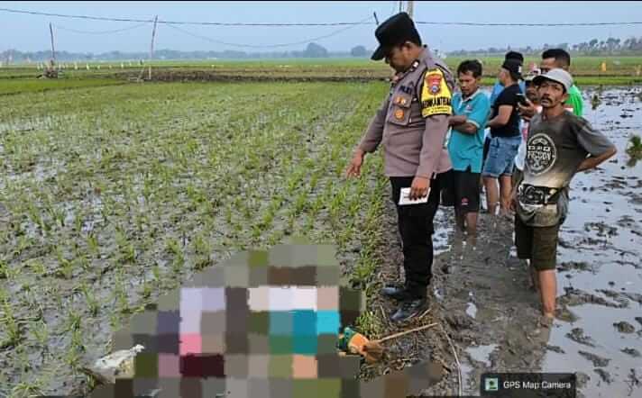 Petugas kepolisian saat menangani kejadian dua warga tewas tersengat jebakan listrik tikus di persawahan Dusun Pager, Desa Sidomukti, Kecamatan Kasiman, Bojonegoro, Kamis (10/9/2026).