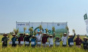 Petani menunjukkan hasil panen padi dalam Festival Pertanian Regeneratif Ngawi