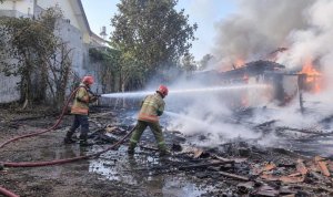 Petugas Dinas Pemadam Kebakaran dan Penyelamatan (Damkarmat) Kabupaten Bojonegoro berjibaku melakukan pemadaman dalam peristiwa kebakaran rumah di wilayah Bojonegoro, Minggu (18/10/2026). (Foto: Istimewsa NewsBojonegoro.com)